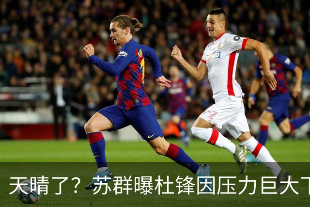 天晴了？苏群曝杜锋因压力巨大下课，5人或在广东队重新焕发生机